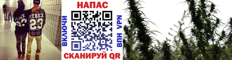 ссылка на мегу как зайти  Опочка  Канабис гибрид 